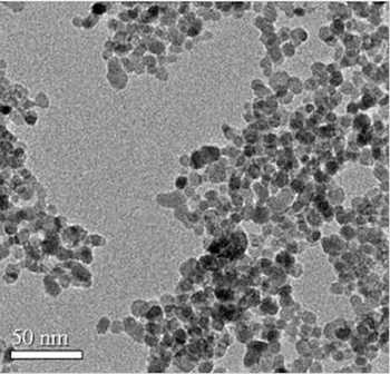DMSA Pārklājumu Fe2O3 Nanodaļiņas