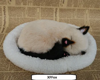 Jaunu reālajā dzīvē Krāsotas sejas kaķis modeli uz paklāja, plastiskā un kažokādas elpošanas bēša cat doll dāvanu par 26x17cm xf1362